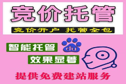 初探SEM推广代运营的多种成功模式